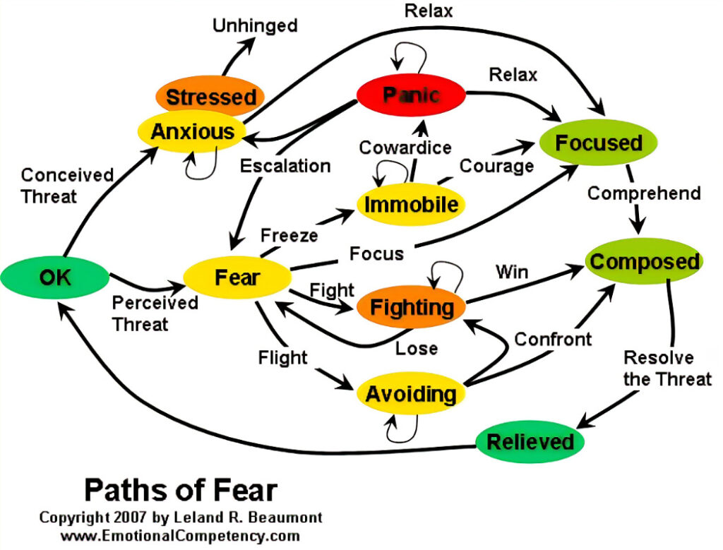 Understanding Fear: Understanding the Origins of Our Fears: Nature vs. Nurture Debate - Source: Emotional Competency